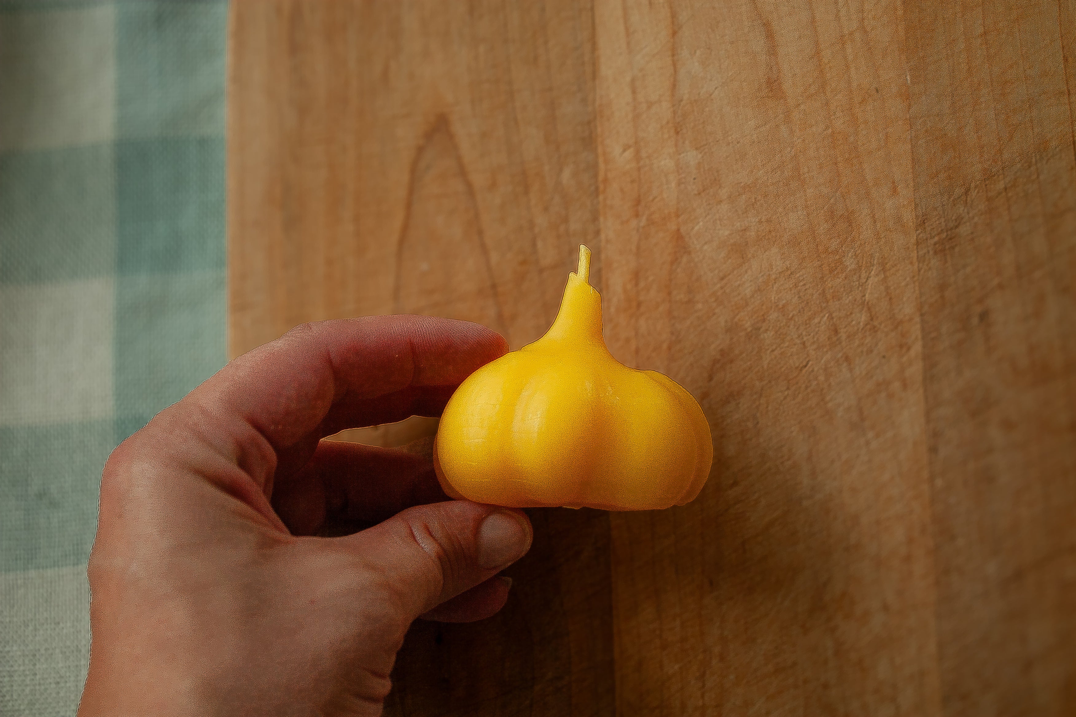 Garlic