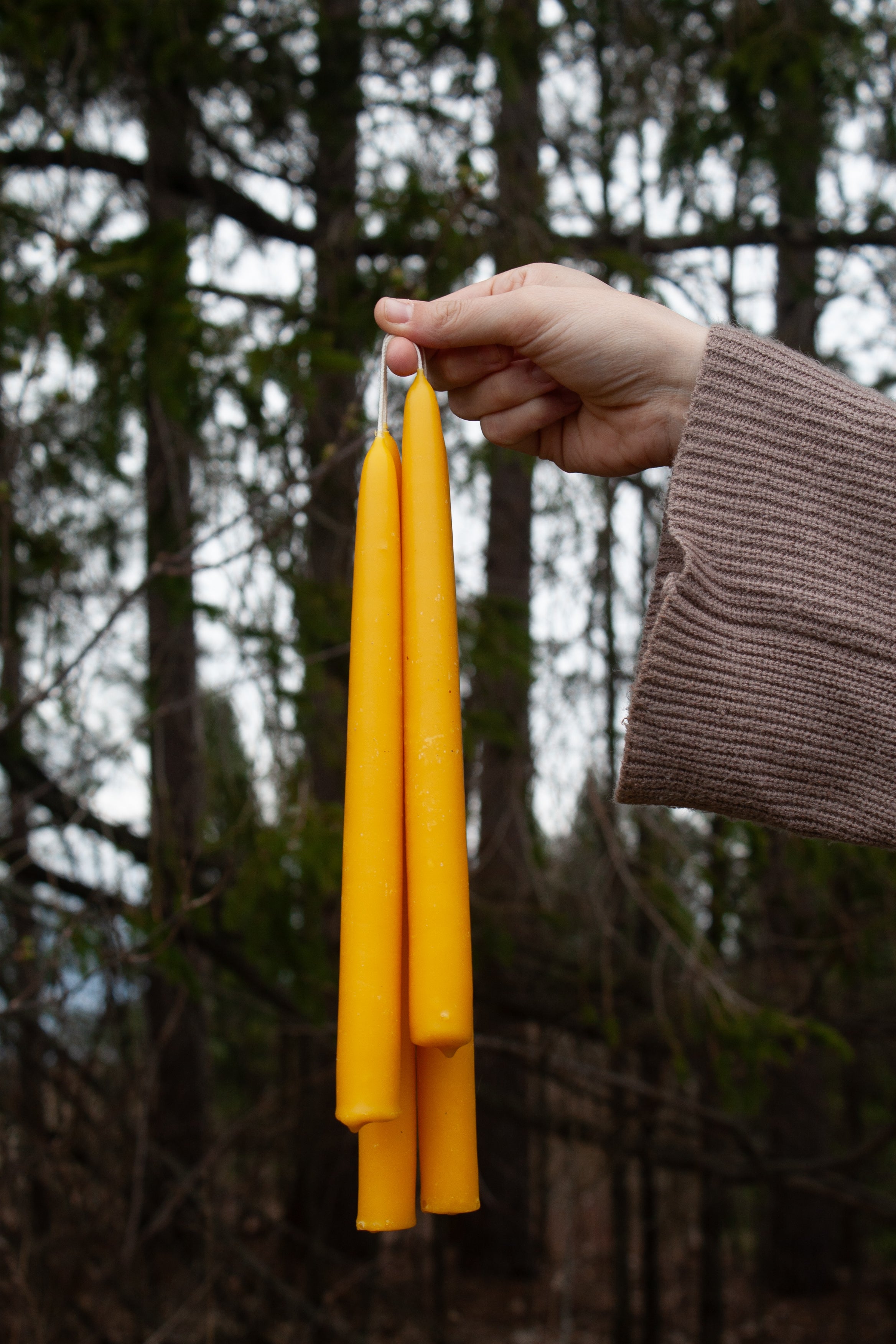 100% pure beeswax taper candles