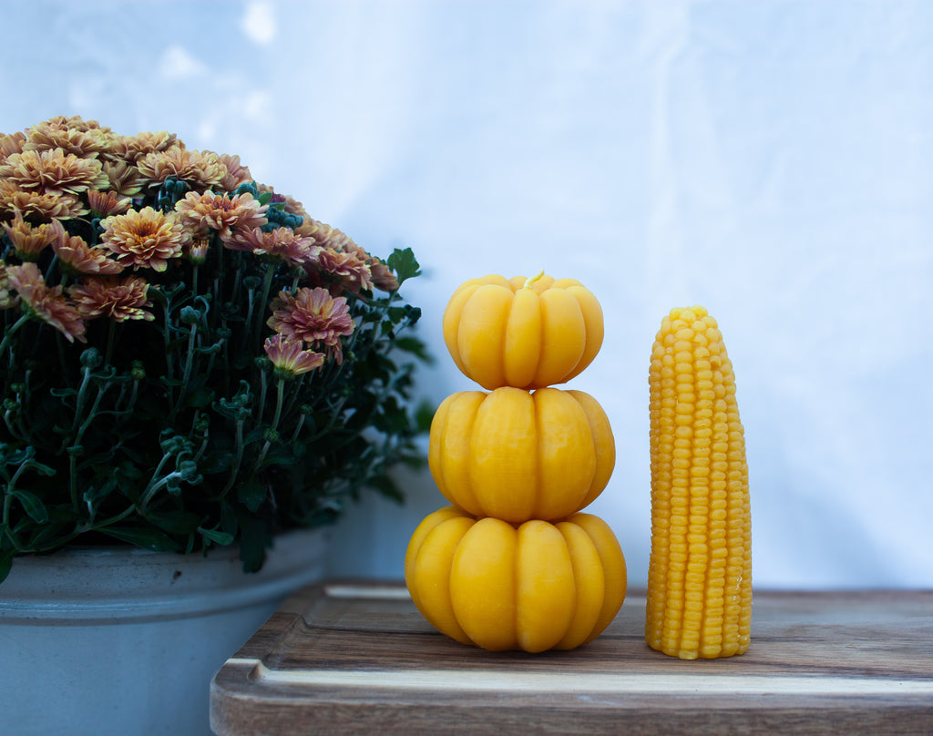 Pumpkin set individually sold sizes