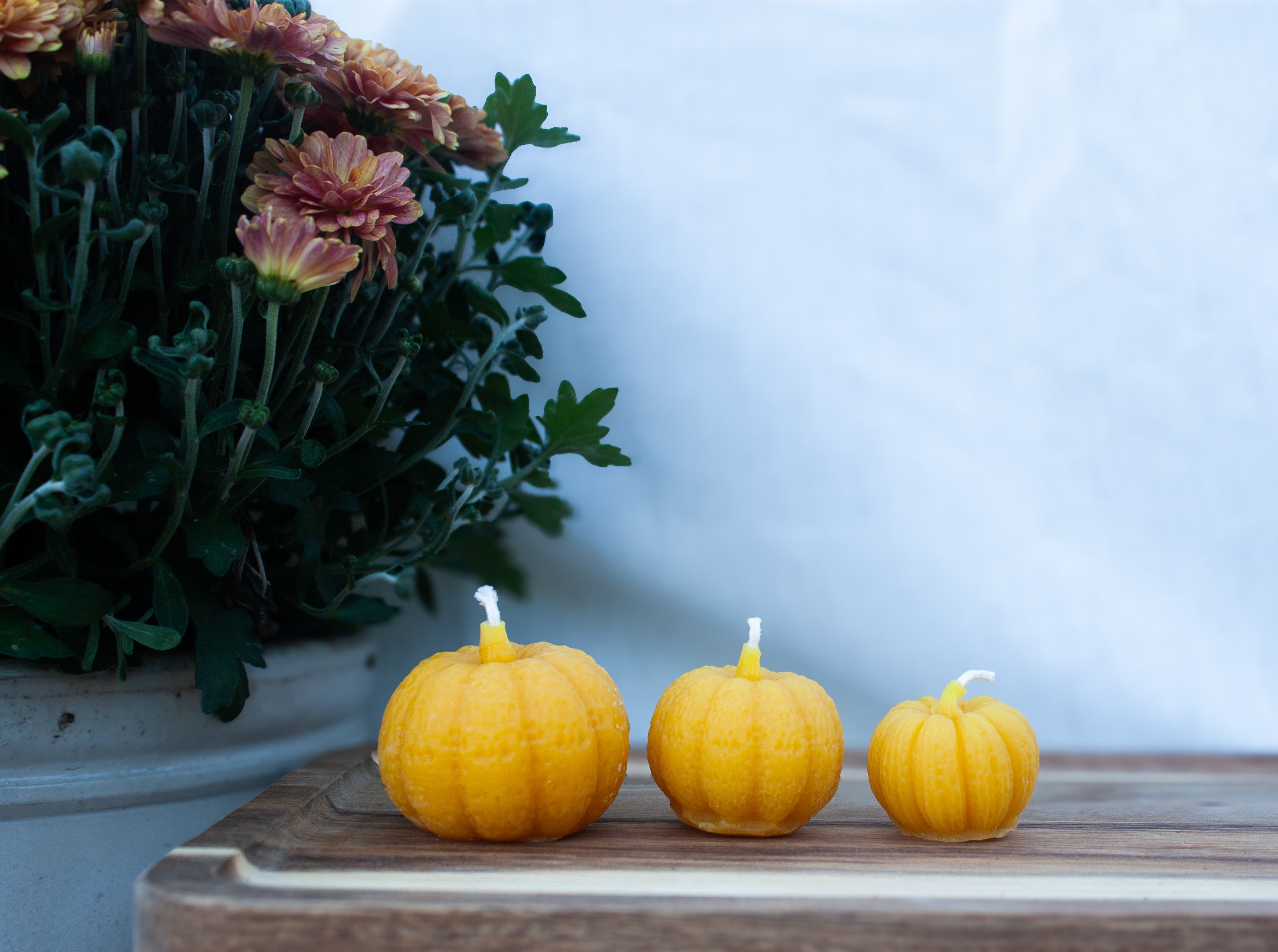 Bigger Pumpkin bundle