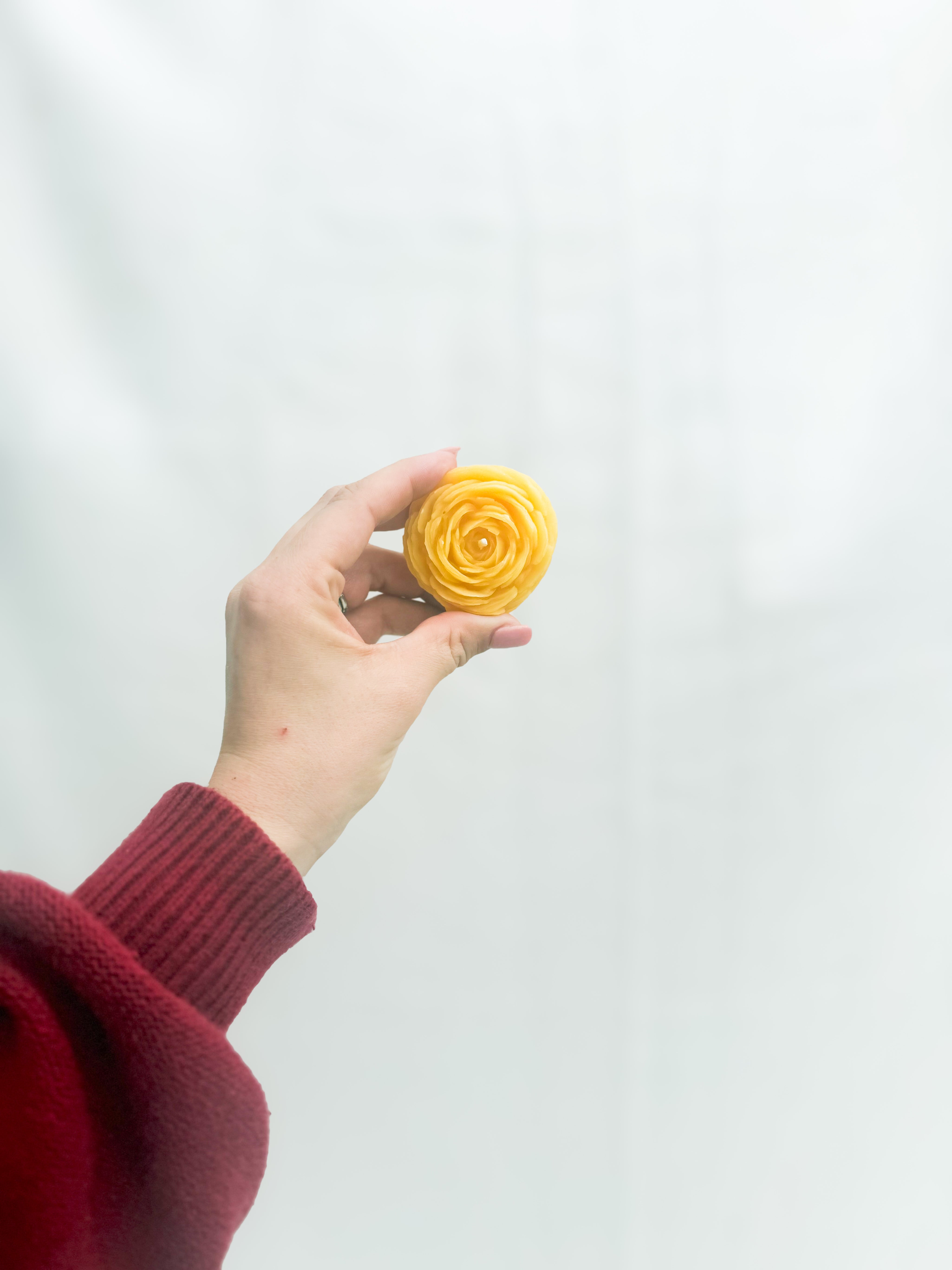 Ranunculus flower