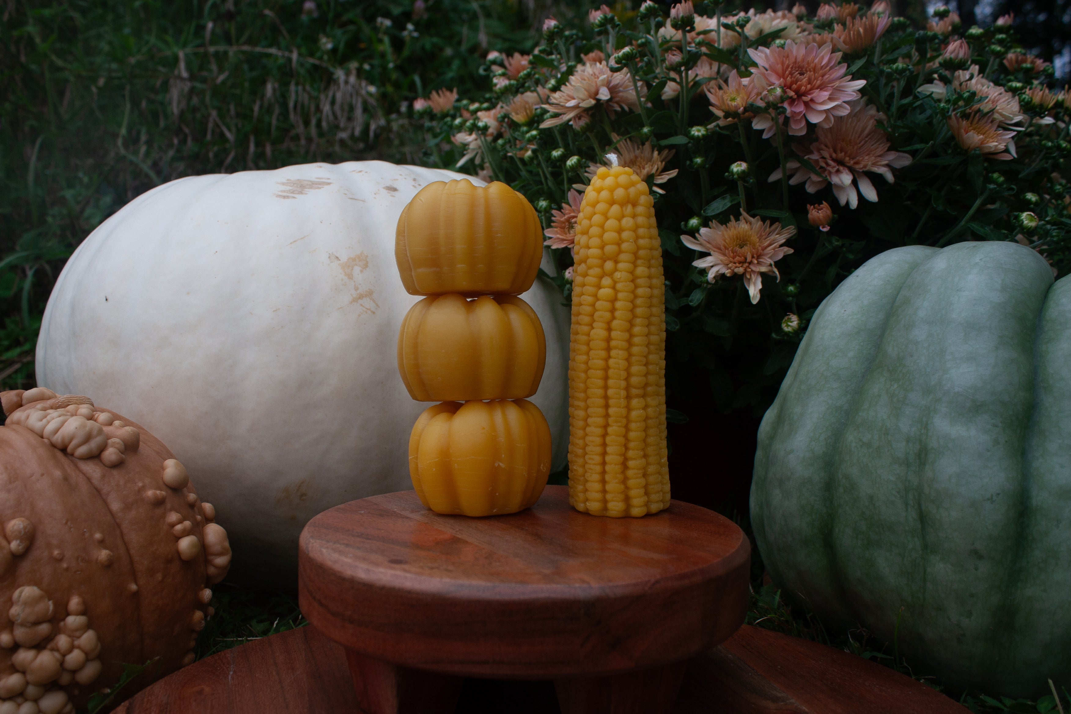 Corn cob beeswax candle