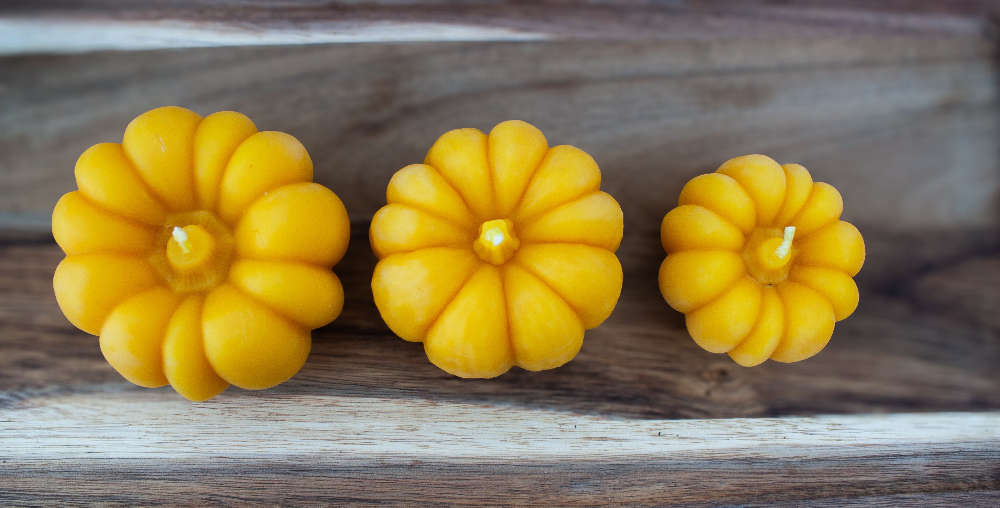 Pumpkin set individually sold sizes