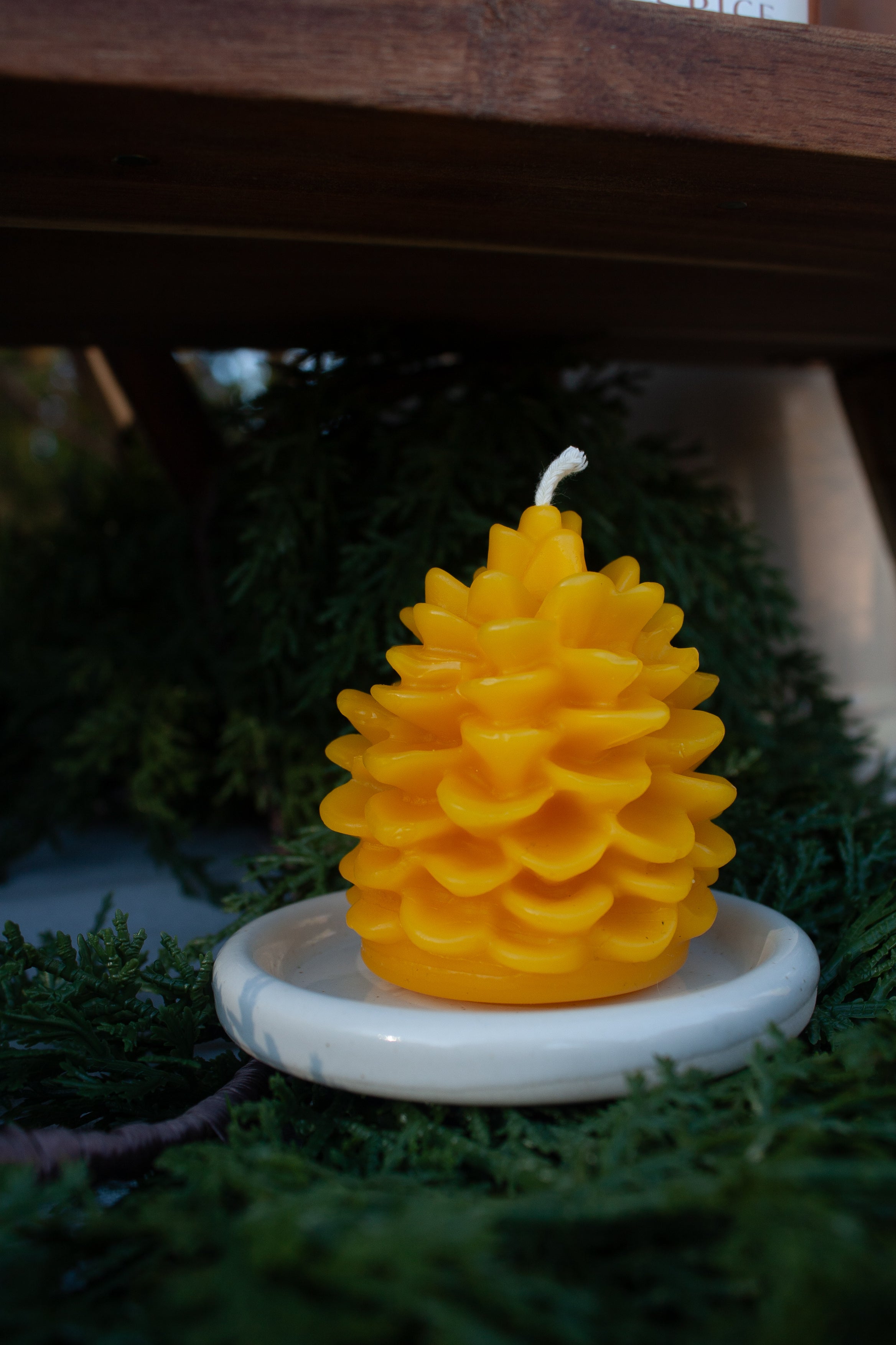 Pinecone beeswax candle