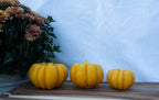 Pumpkin set individually sold sizes