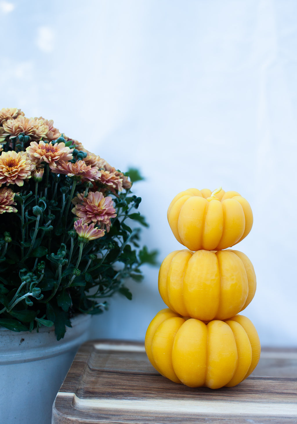 Pumpkin set individually sold sizes