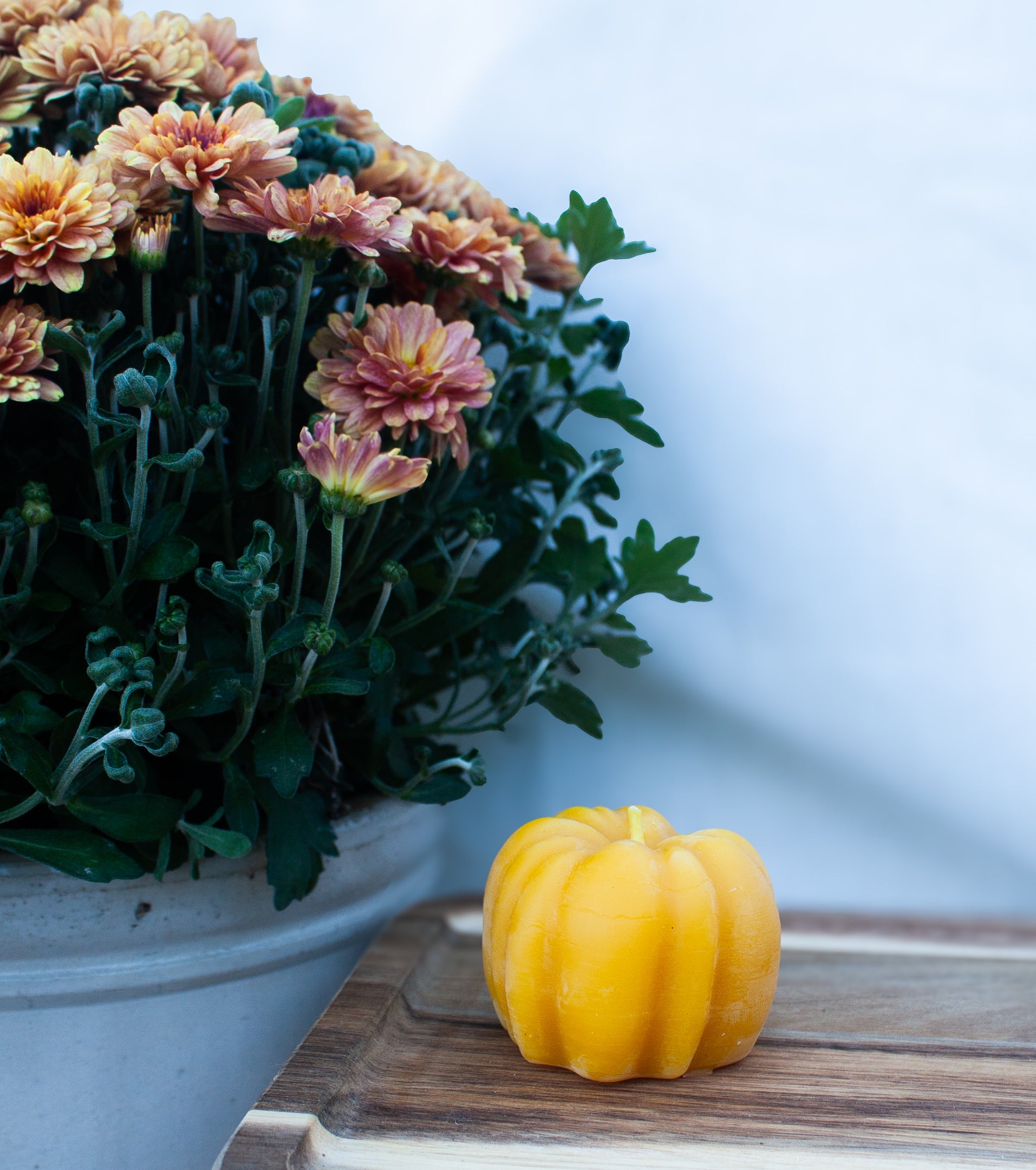 Pumpkin candle