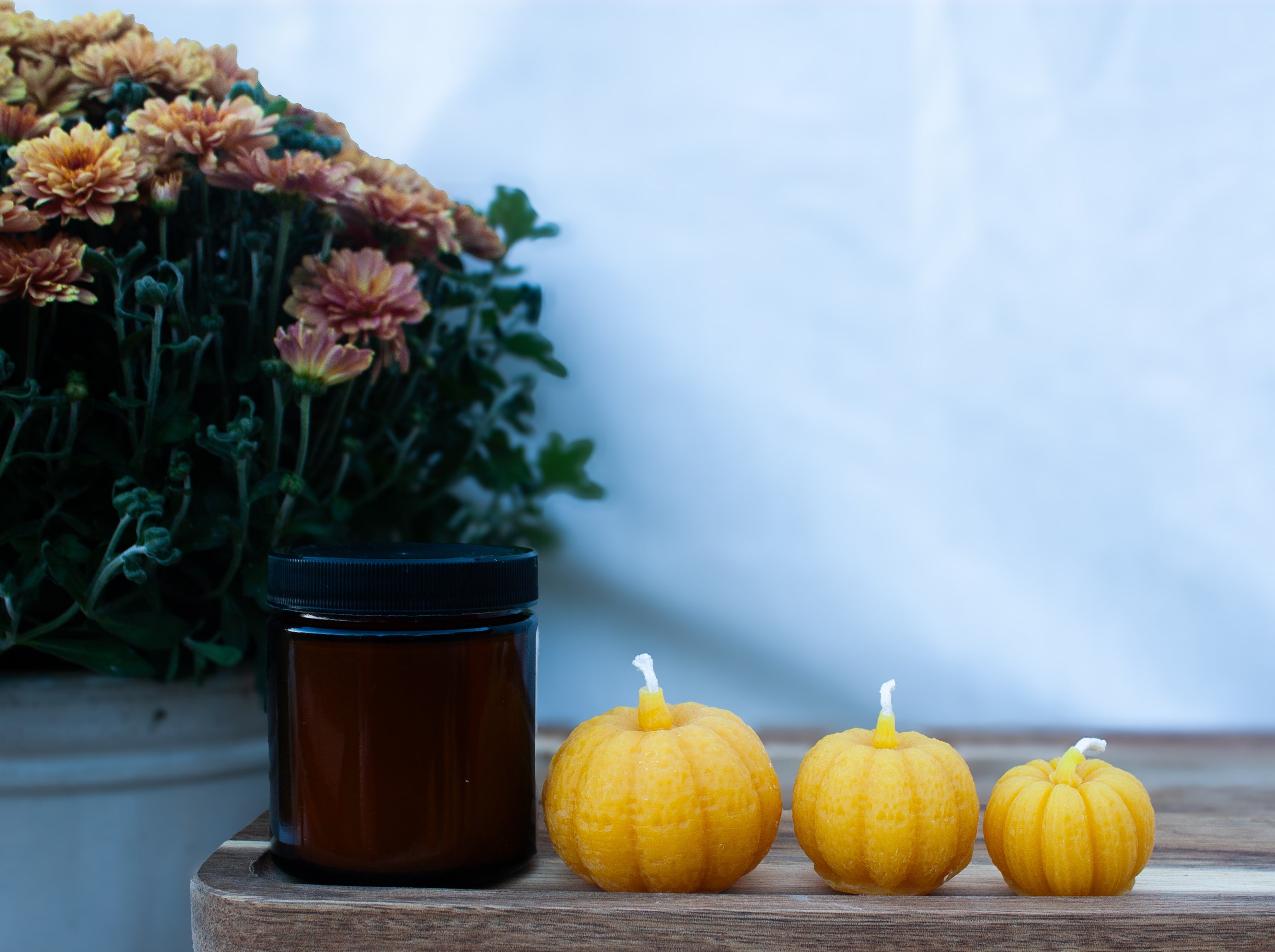 Bigger Pumpkin bundle