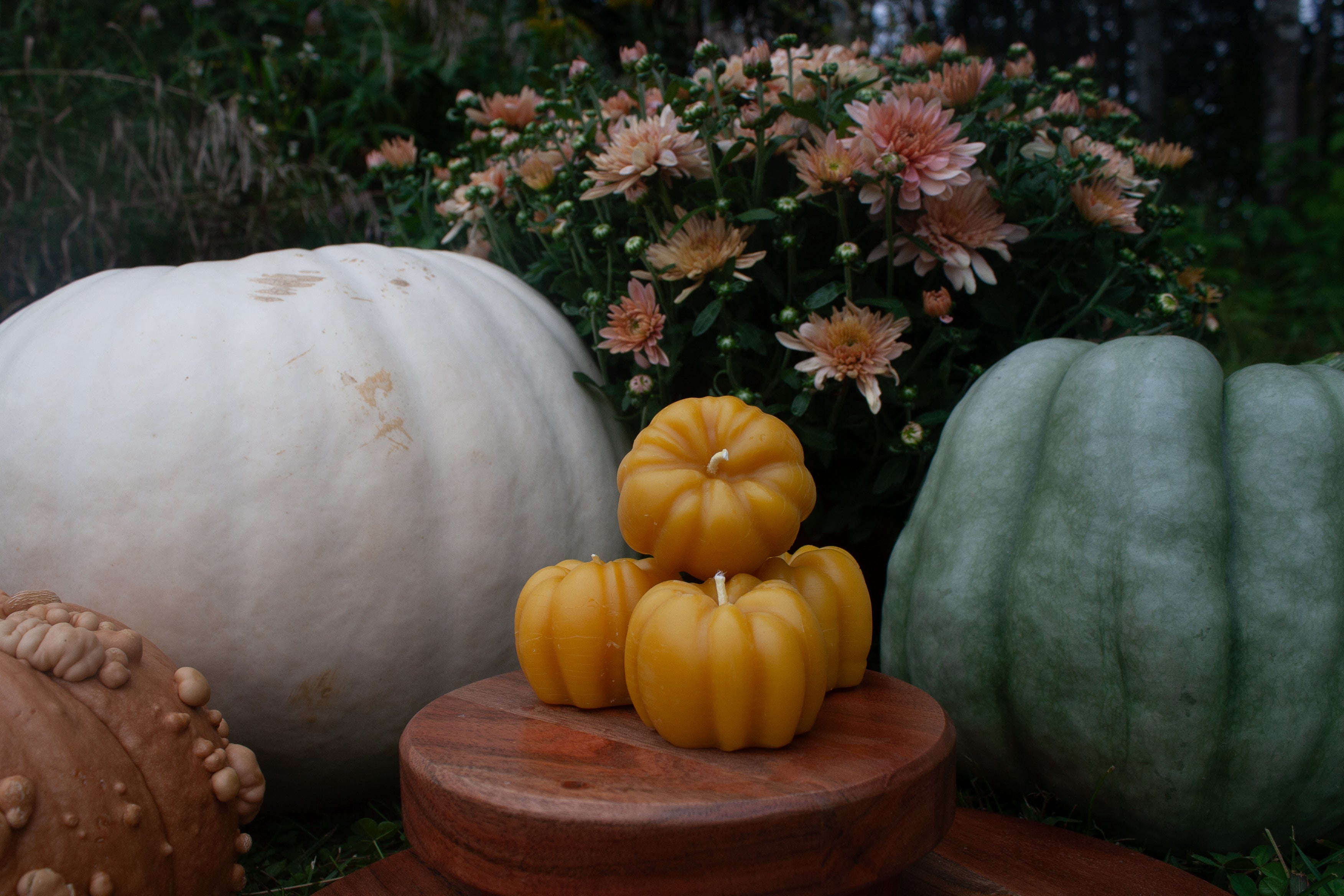 Pumpkin candles