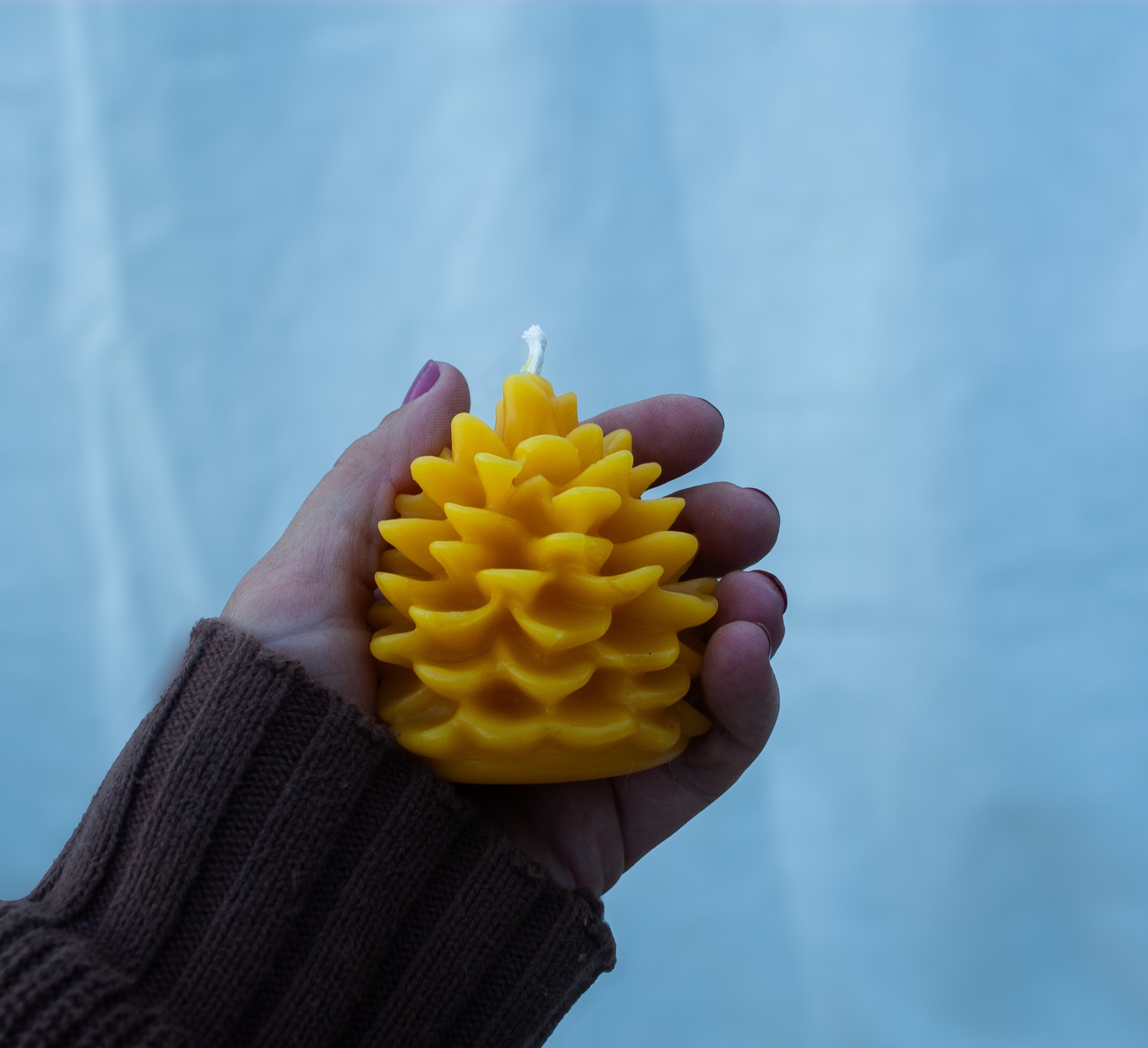 Pinecone beeswax candle