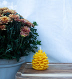 Pinecone beeswax candle