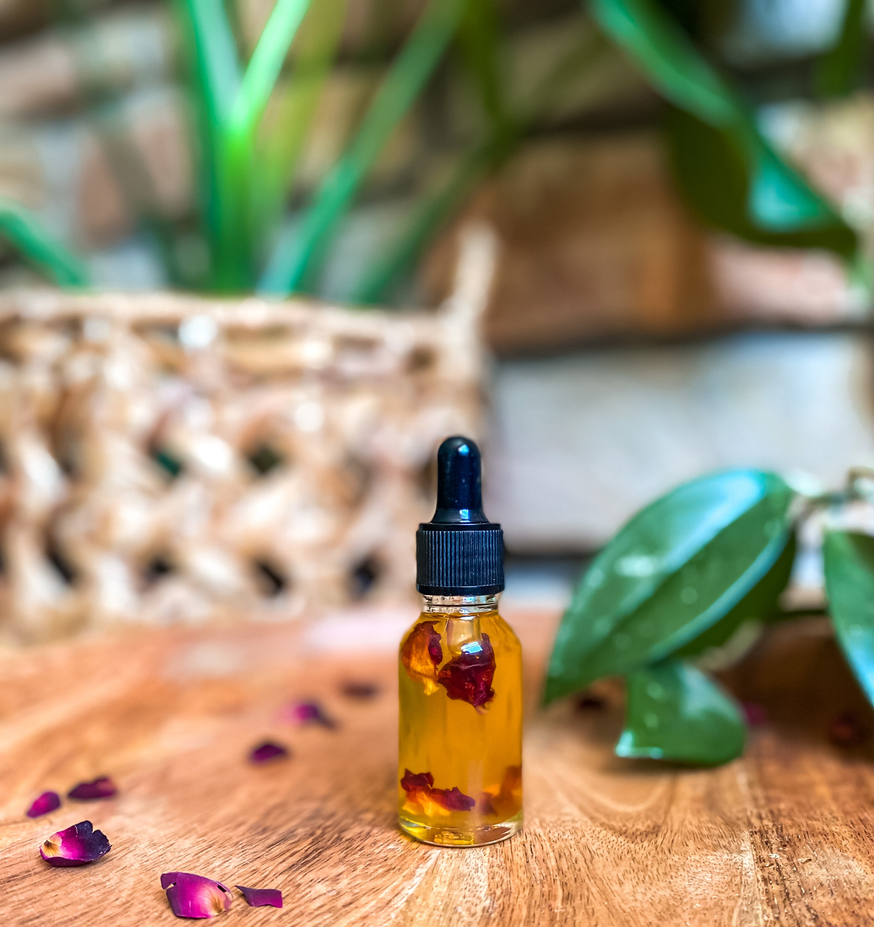 Nourish facial Serum